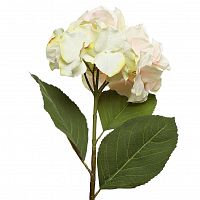 гортензия светло-розовая 62 см в Великом Новгороде