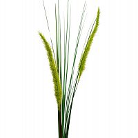 веточка камыша 75 см (48) в Великом Новгороде