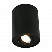 потолочный светильник arte lamp a5644pl-1bk в Великом Новгороде