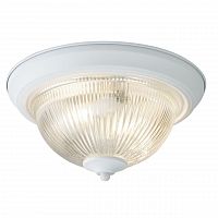 потолочный светильник arte lamp aqua a9370pl-2wh в Великом Новгороде