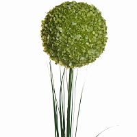 алиум зеленый 80 см (24) в Великом Новгороде